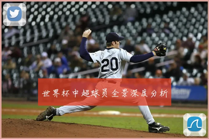 世界杯中超球员全景深度分析