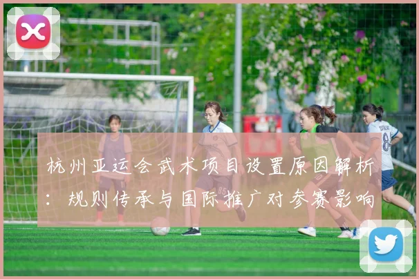 杭州亚运会武术项目设置原因解析：规则传承与国际推广对参赛影响