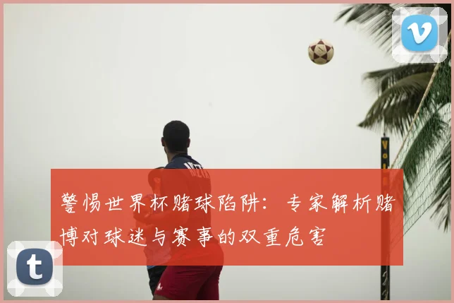 警惕世界杯赌球陷阱：专家解析赌博对球迷与赛事的双重危害