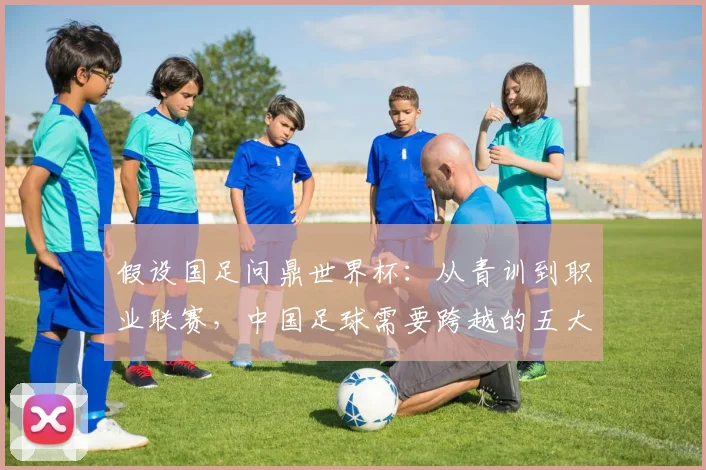 假设国足问鼎世界杯:从青训到职业联赛,中国足球需要跨越的五大挑战