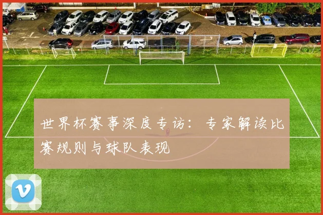 世界杯赛事深度专访：专家解读比赛规则与球队表现