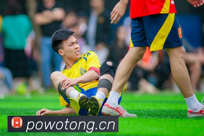 星空体育网站入口APP 封面图